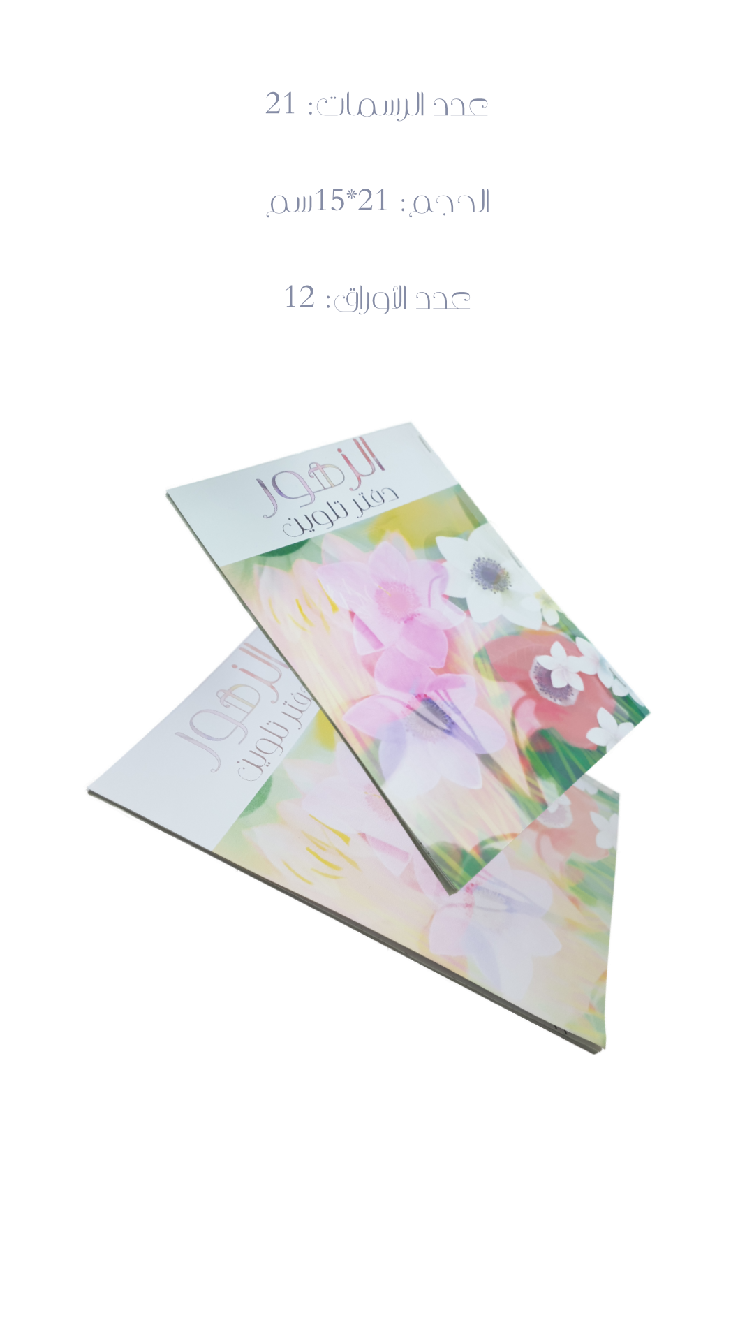 تفاصيل: عدد الأوراق - عدد الرسمات - الحجم